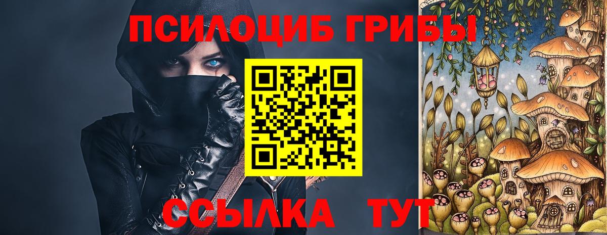 Галлюциногенные грибы Magic Shrooms  Вход с VPN  Галлюциногенные грибы Psilocybine cubensis  Сальск 
